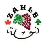 Zahle Association Logo